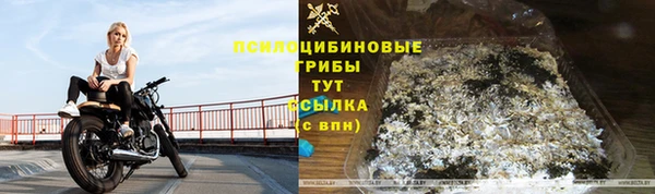 молекула духа Осташков