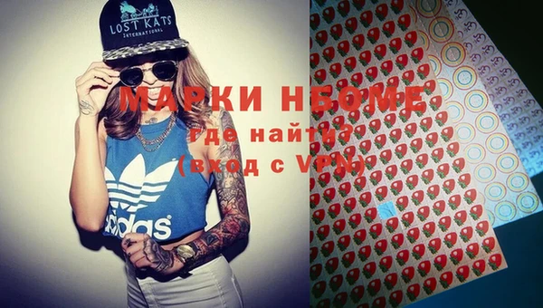 молекула духа Осташков