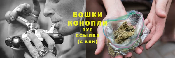 молекула духа Осташков