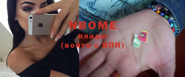 молекула духа Осташков