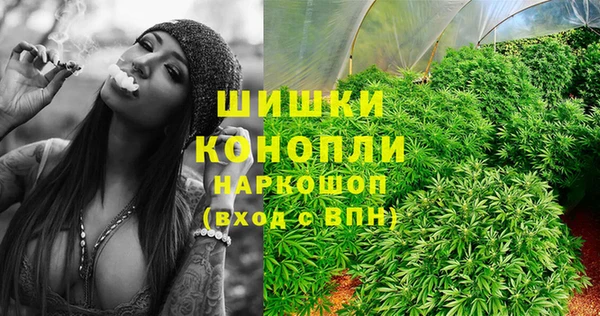 молекула духа Осташков