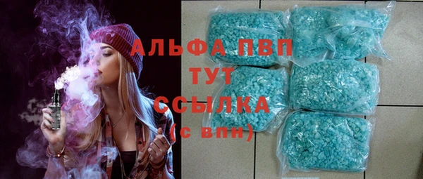 молекула духа Осташков