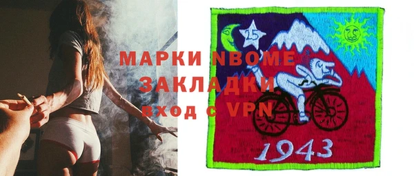 молекула духа Осташков