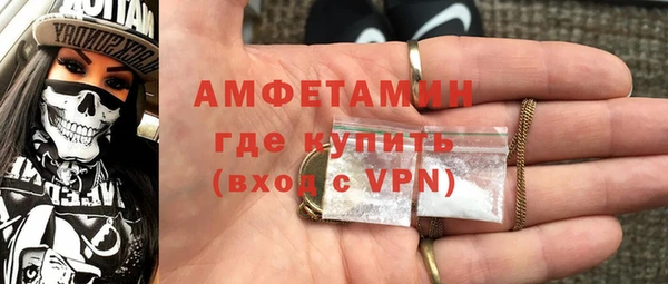 молекула духа Осташков