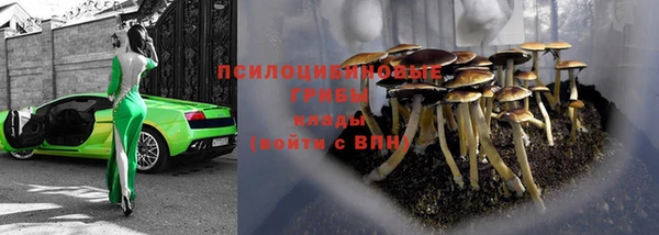 бутират Осинники
