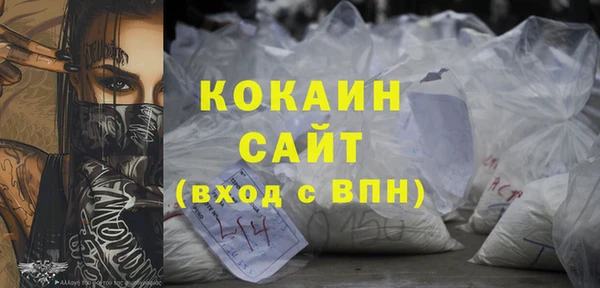молекула духа Осташков