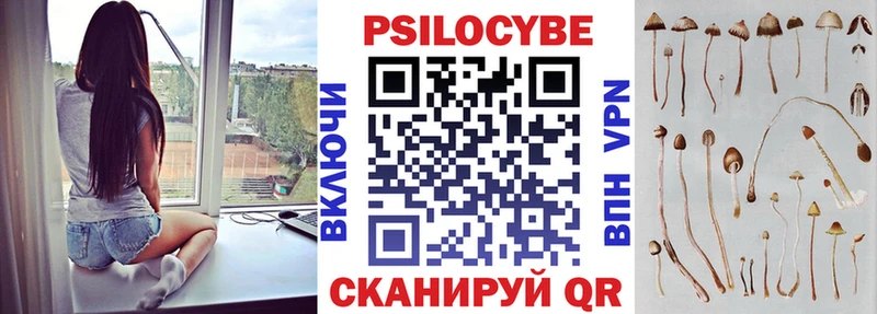 Псилоцибиновые грибы Cubensis Купить где Нижневартовск